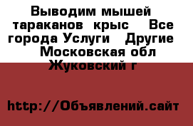 Выводим мышей ,тараканов, крыс. - Все города Услуги » Другие   . Московская обл.,Жуковский г.